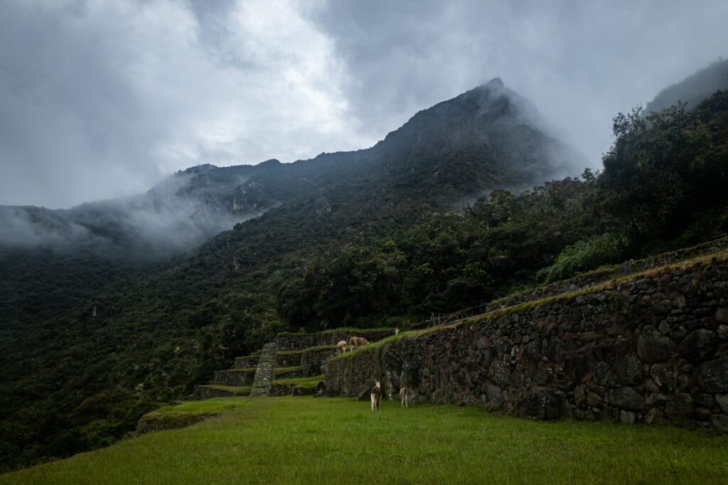 Machu picchu 2024 1021