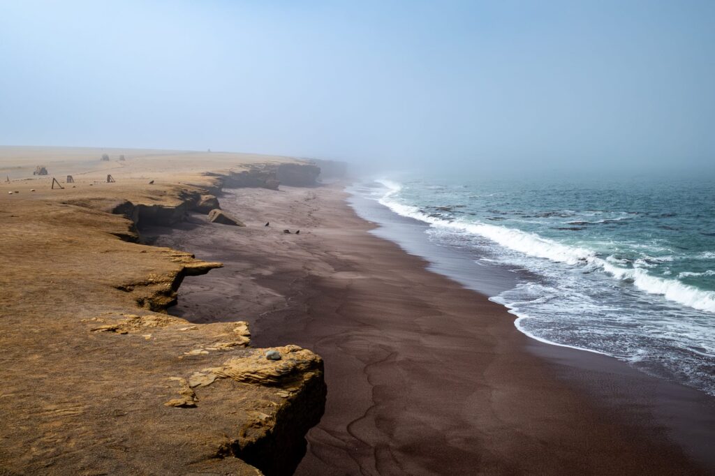 Paracas 2024 1002