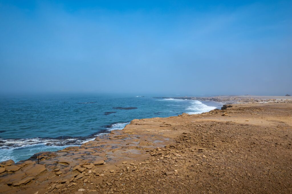 Paracas 2024 1003