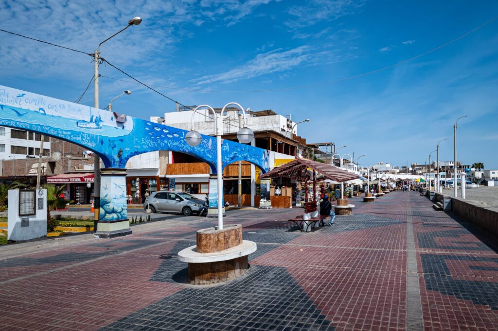 Paracas 2024 1004