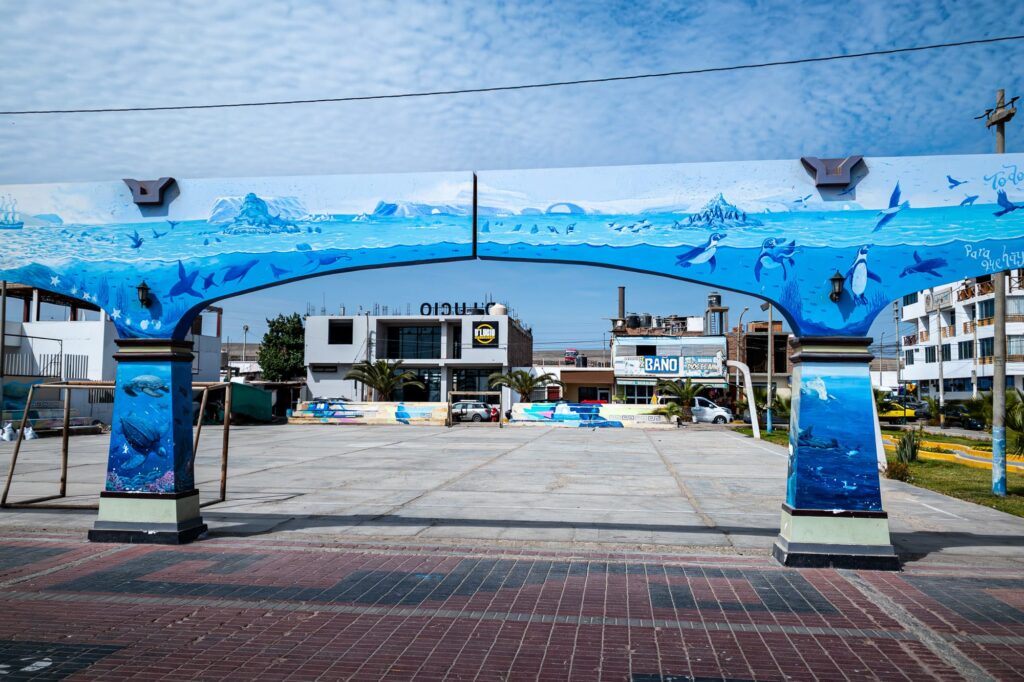 Paracas 2024 1005