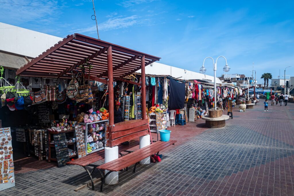 Paracas 2024 1006