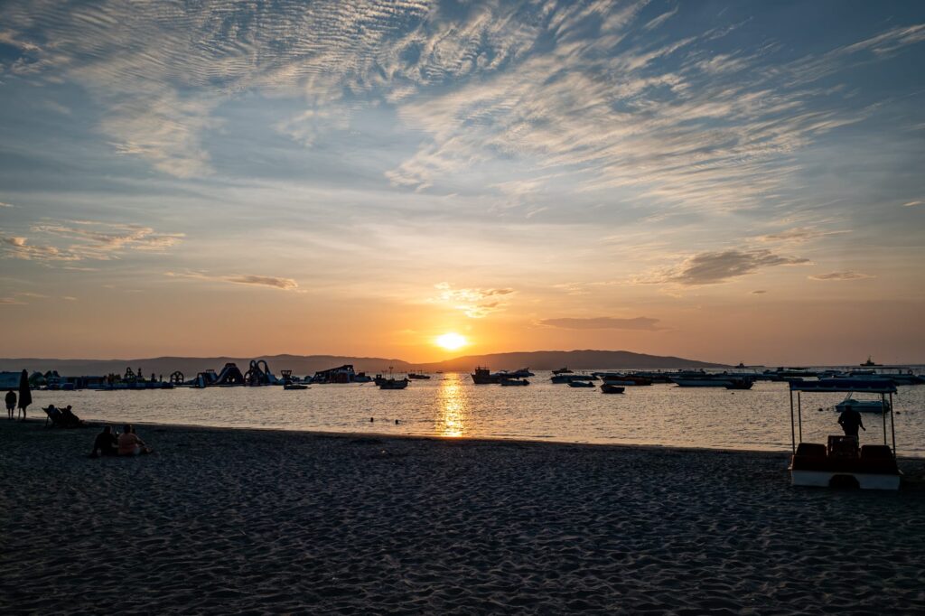 Paracas 2024 1007