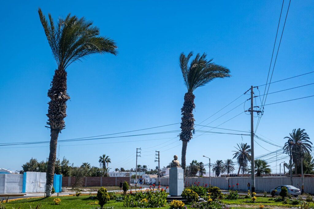 Paracas 2024 1010