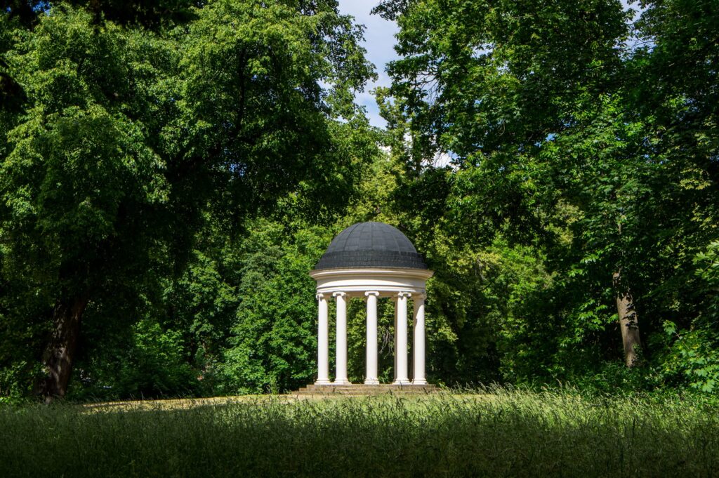 Dessau georgium 2022