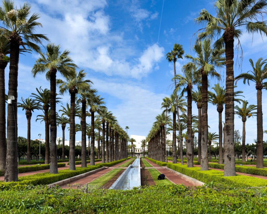 Casablanca 2025