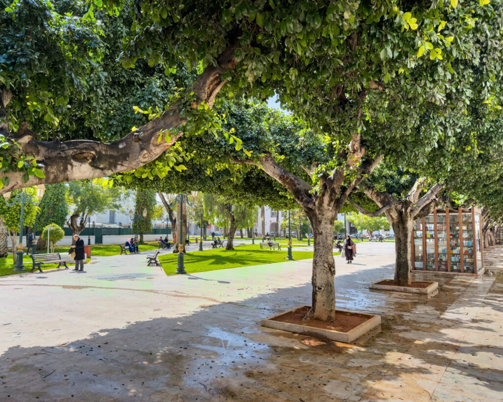 In Rabat 2025