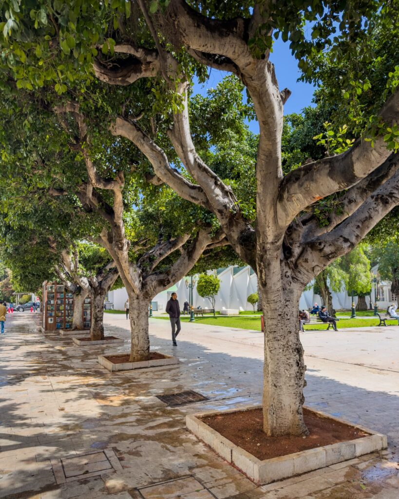 In Rabat 2025