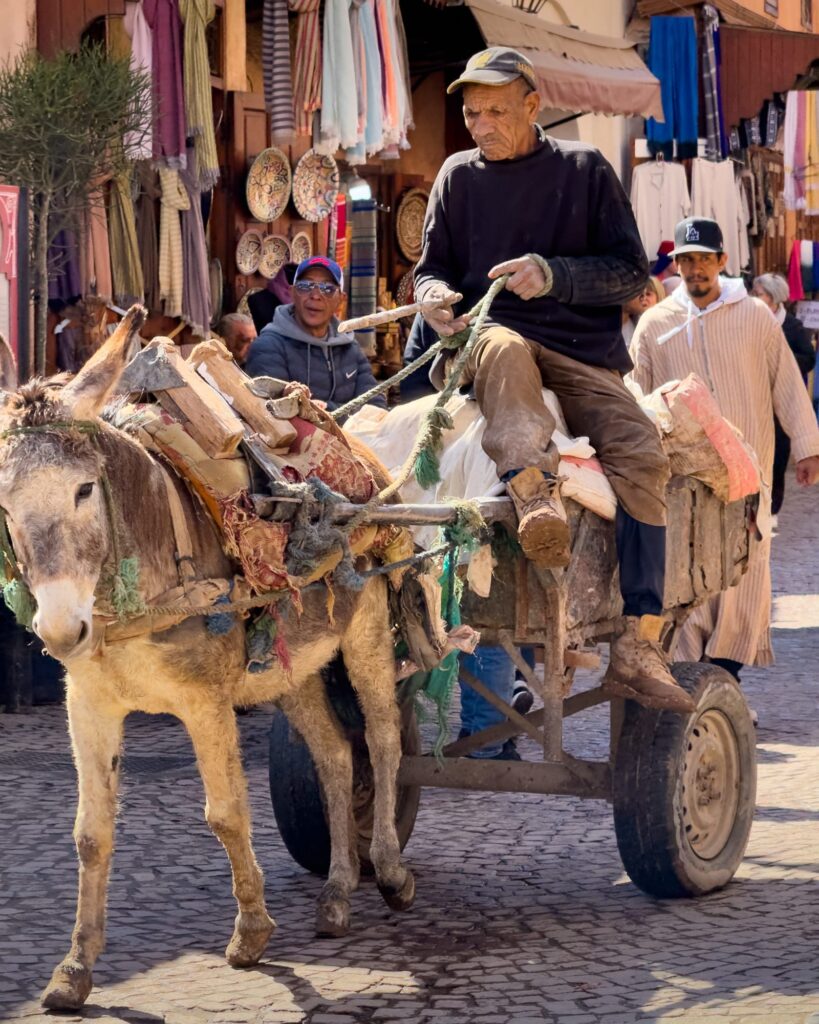 Marrakesch 2025