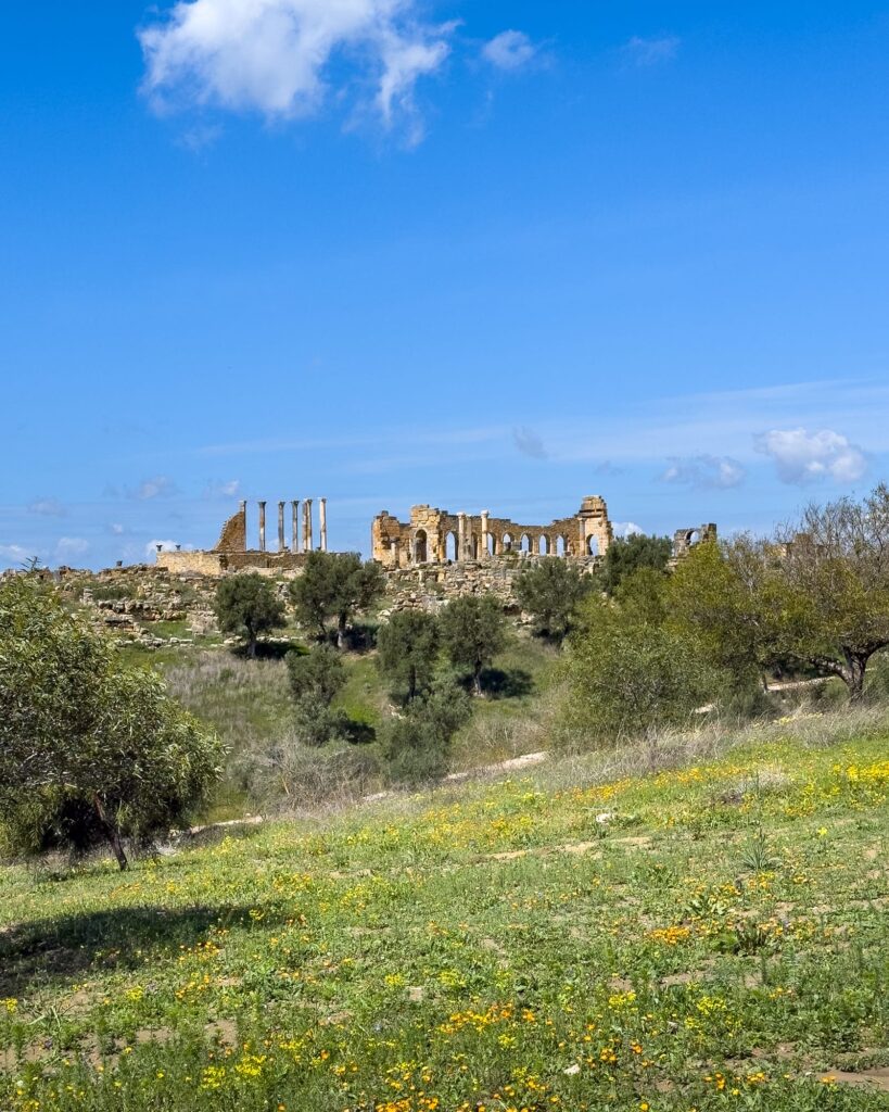 Volubilis Marokko 2025