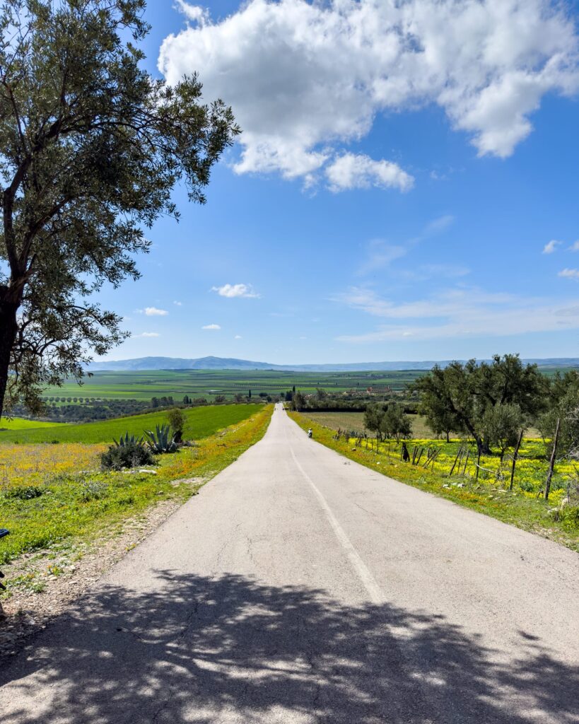Volubilis Marokko 2025