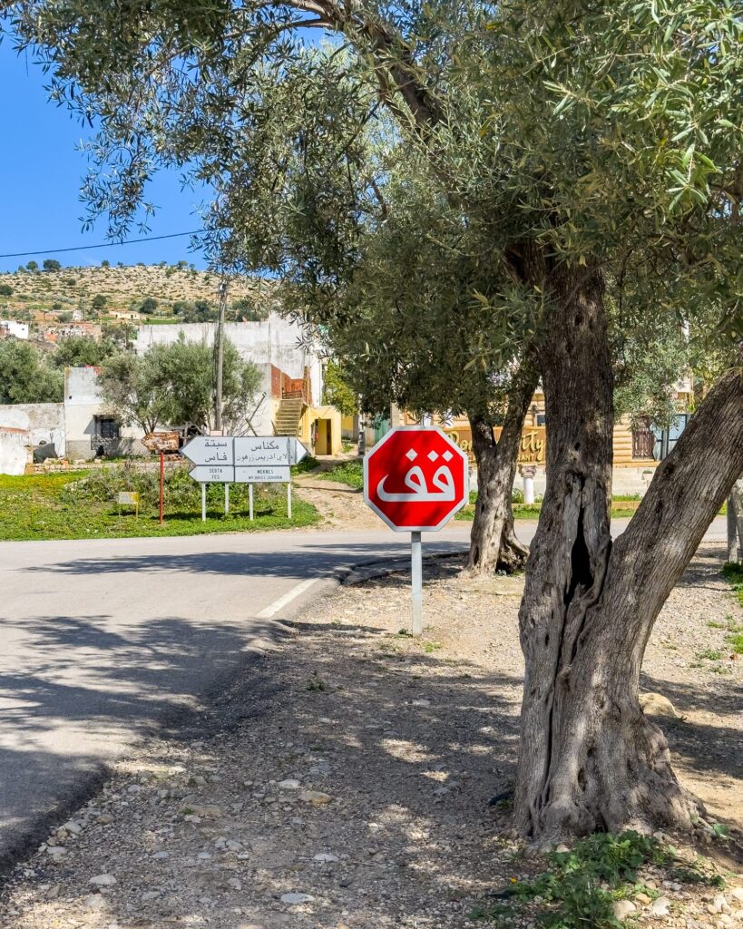 Volubilis Marokko 2025