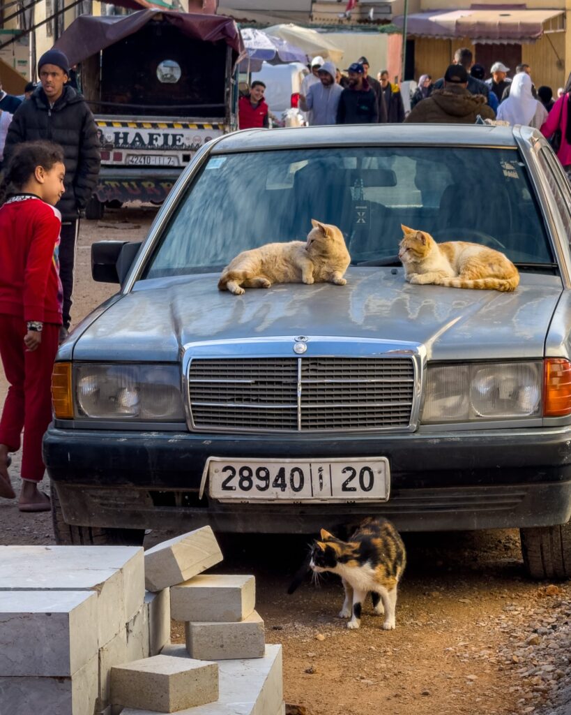 Meknes 2025